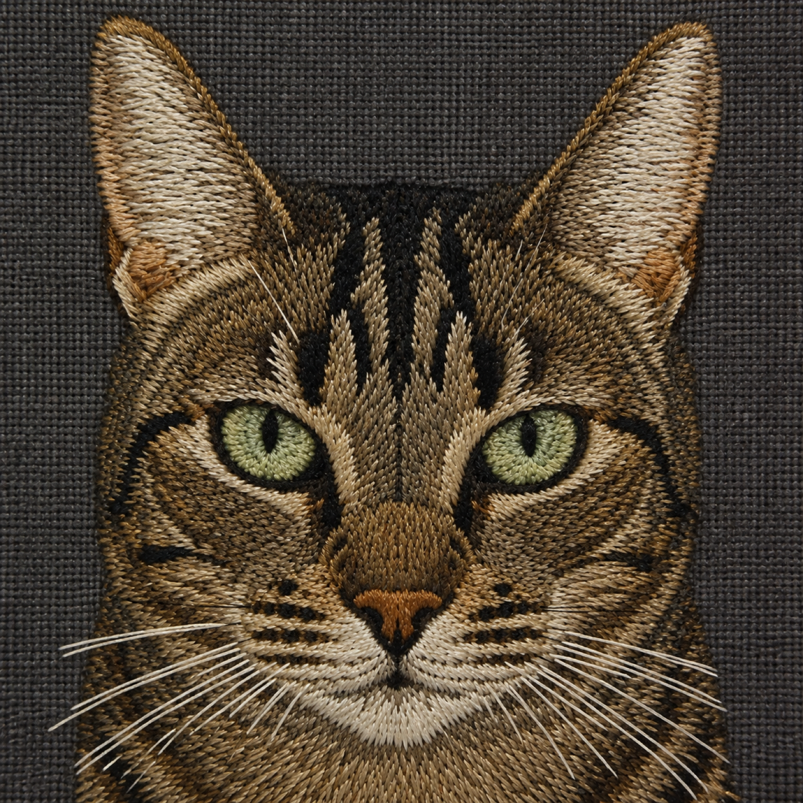 What The Stitch Is the Smallest Unit returned for a second photograph